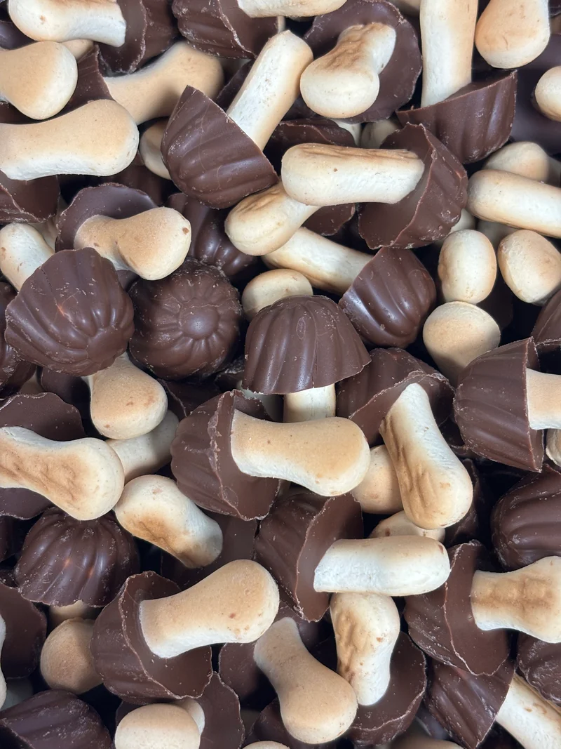 Champignon Chocolat (100g)