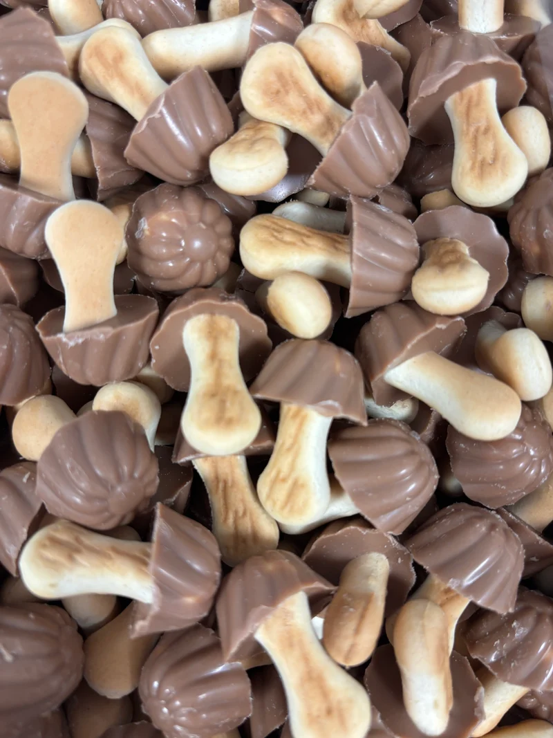 Champignon Chocolat, Caramel (100g)