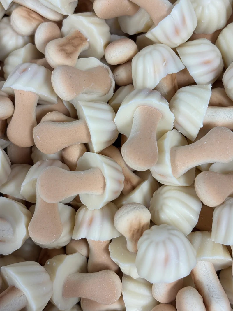 Champignon Chocolat Blanc (100g)