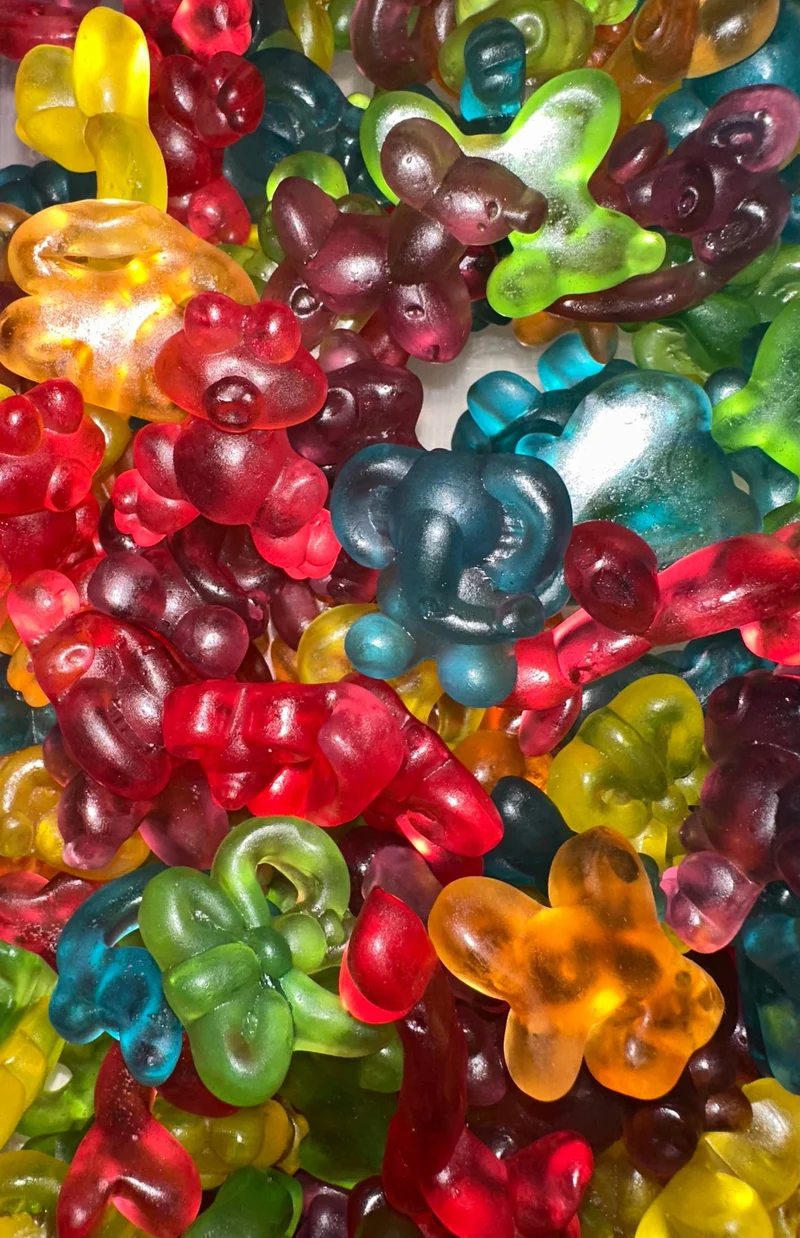Ballons Animaux (100g)