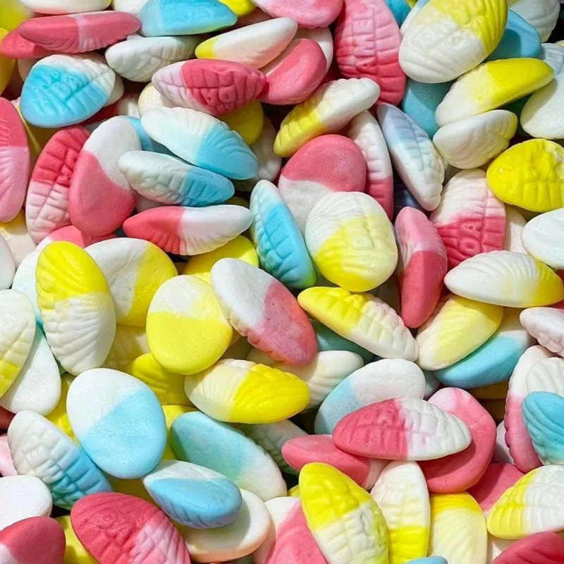 Palourde (100g)