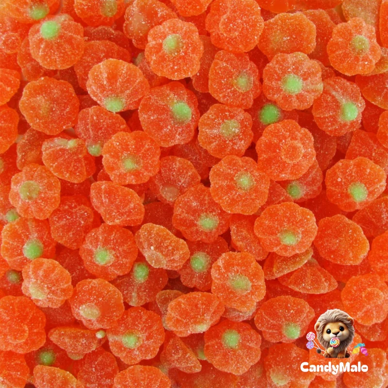 Mandarines (100g)