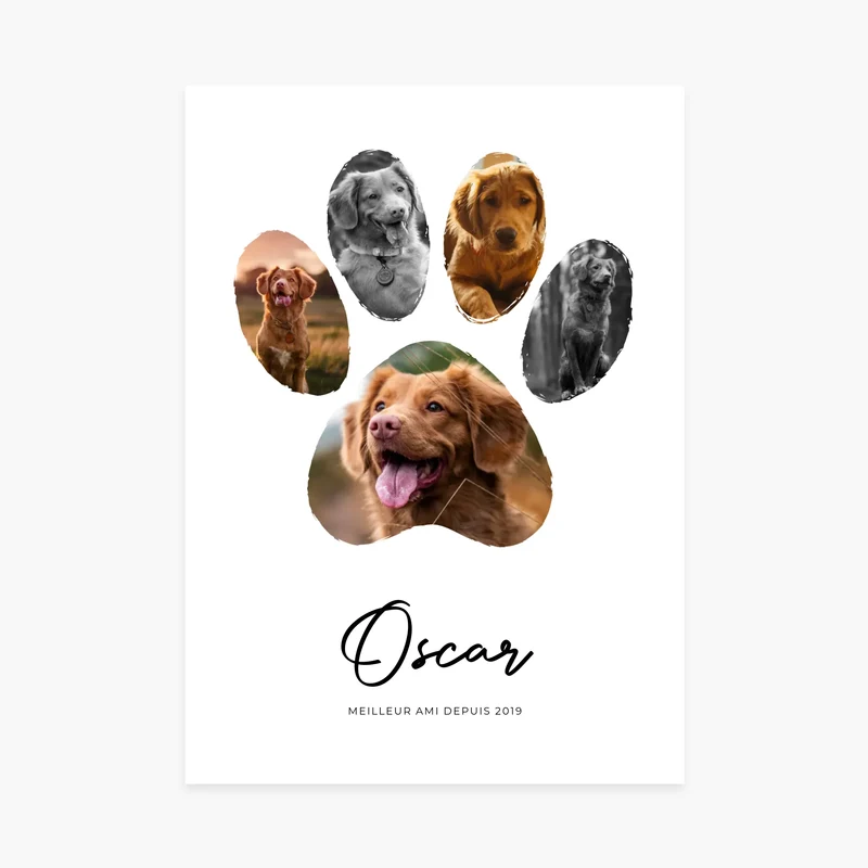 Affiche personnalisée animal - Patte de chien photos