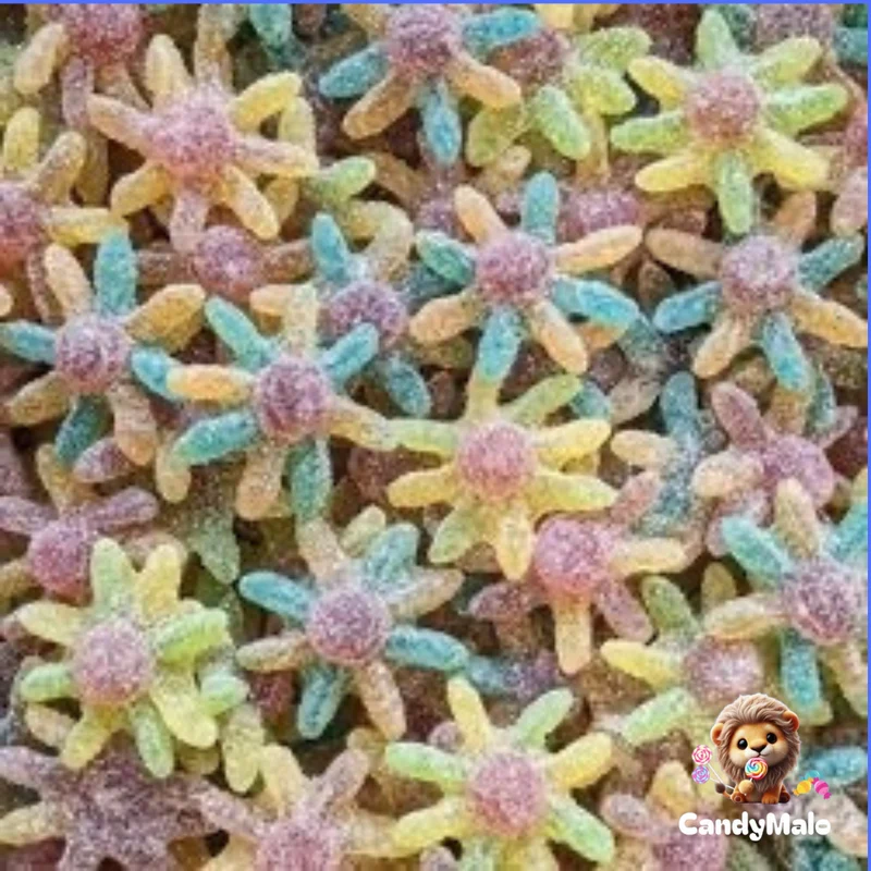 Pieuvres tropicales (100g)