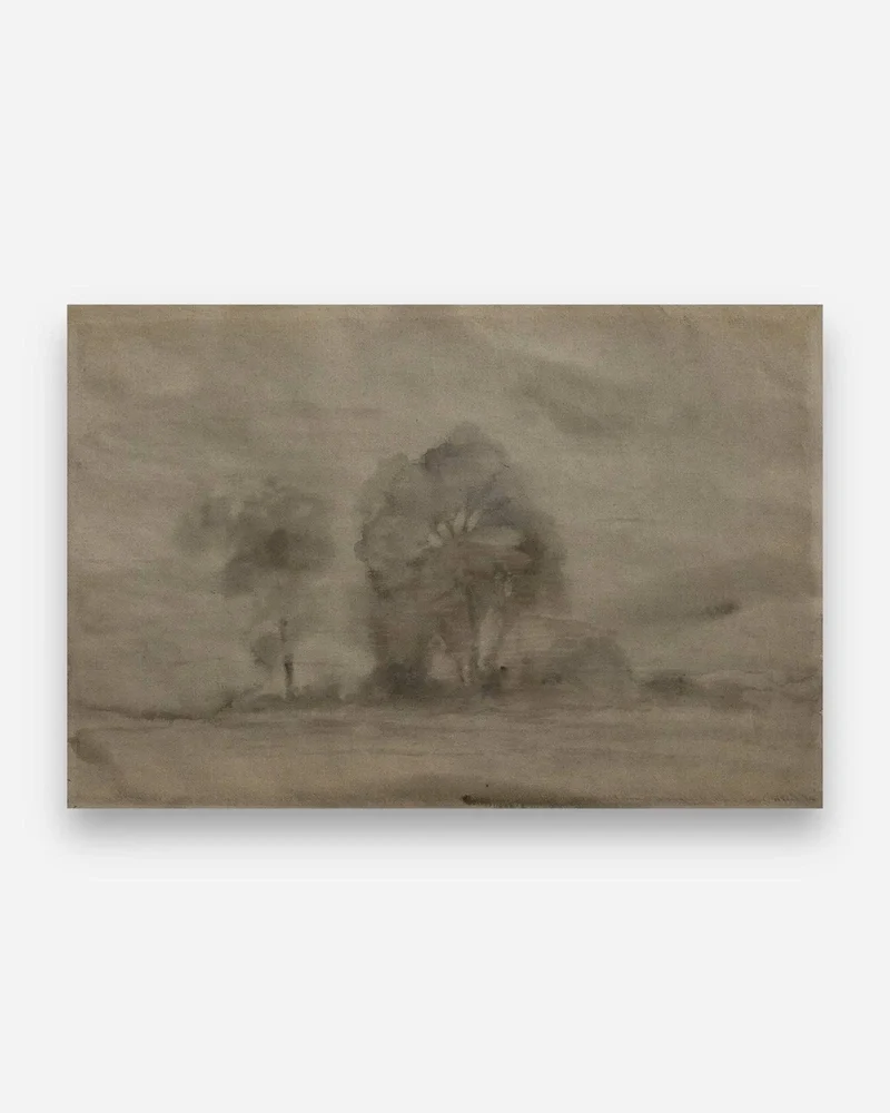 Paysage Sombre