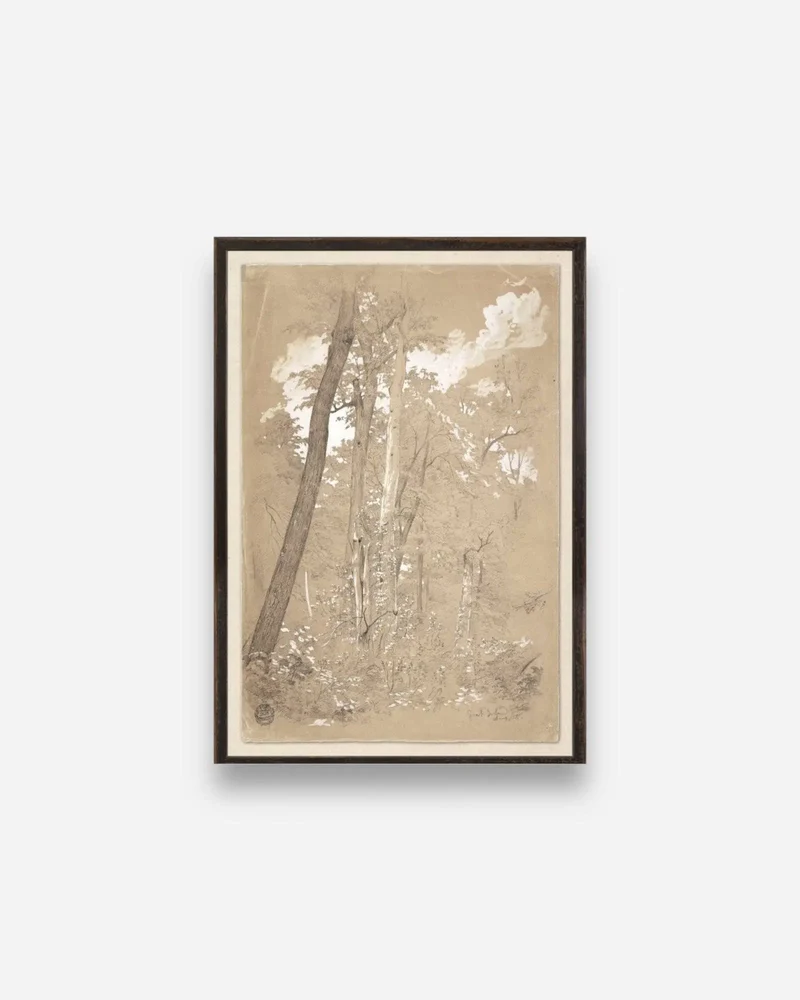 COLLECTION 23 – CHESTNUT TREES, NIAGARA RIVER C. 1858