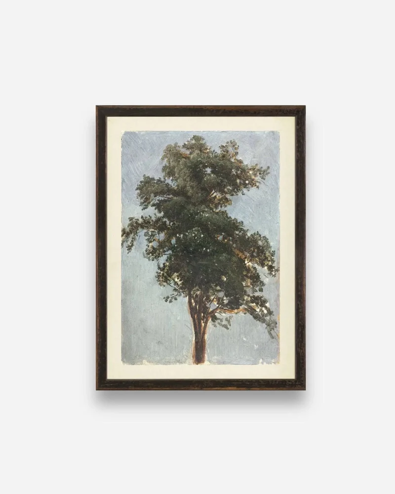 TREE STUDY, 1855