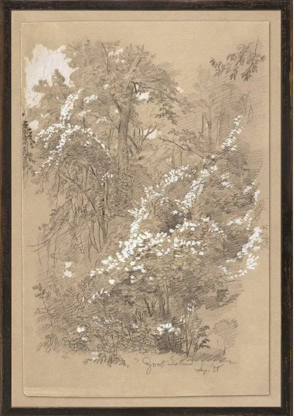GOAT ISLAND C. 1858