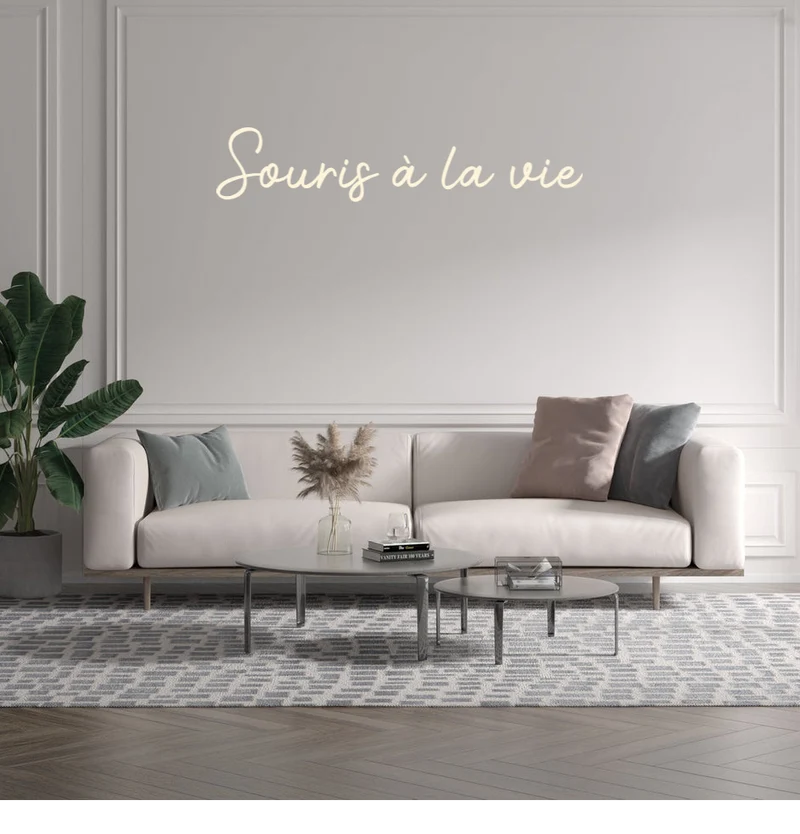 Custom text: Souris à la vie