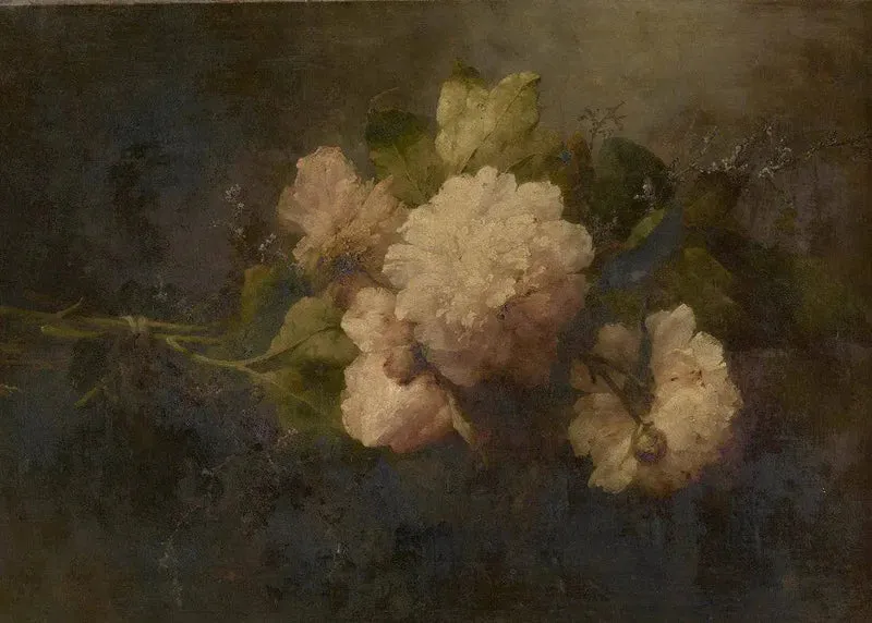 PEONIES