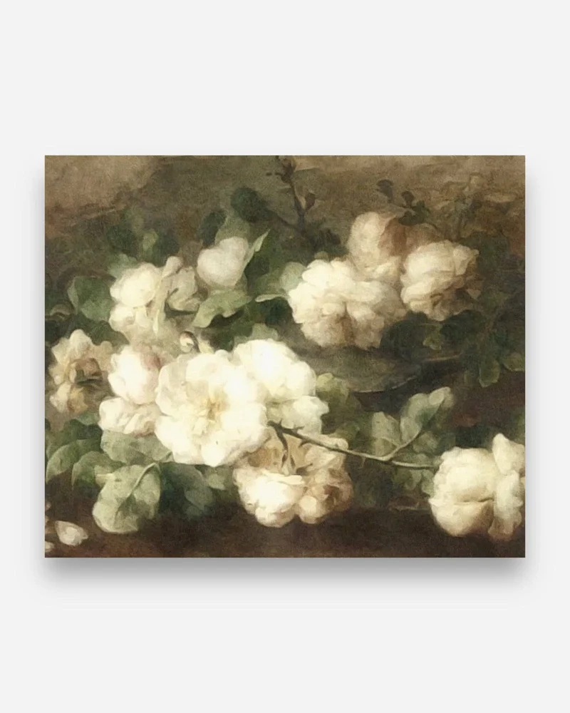 Fleurs d’été