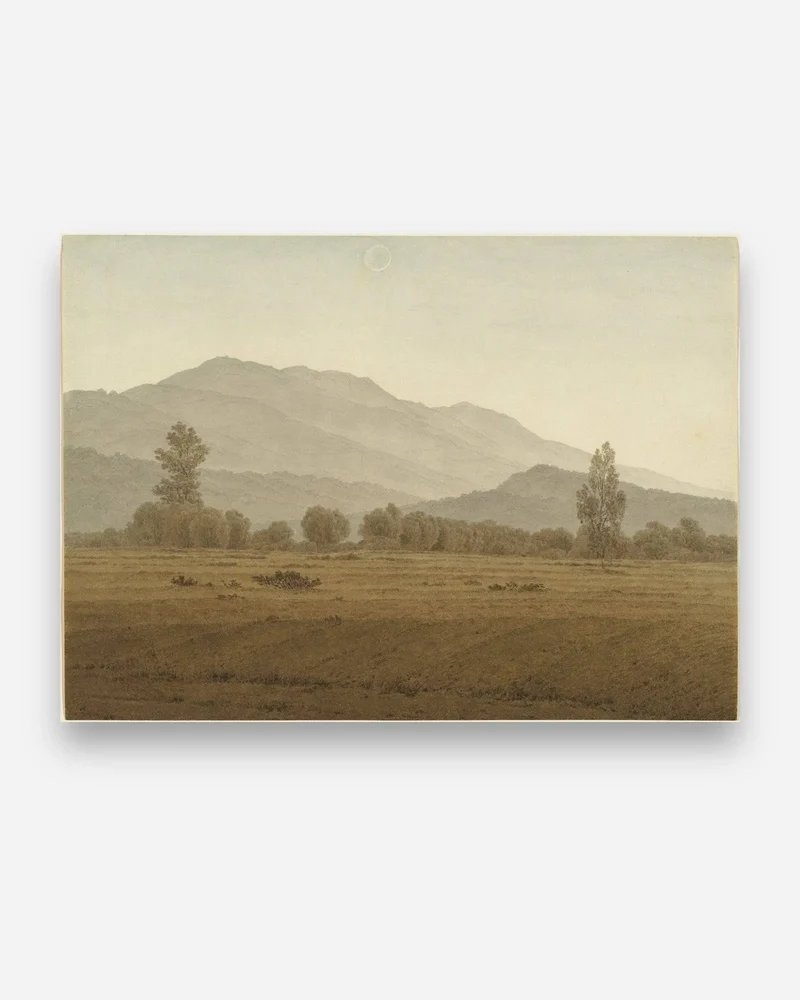 L'été, un soleil