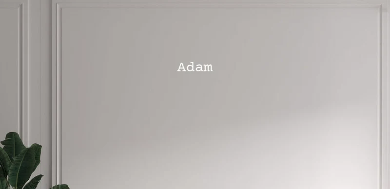 Custom text: Adam