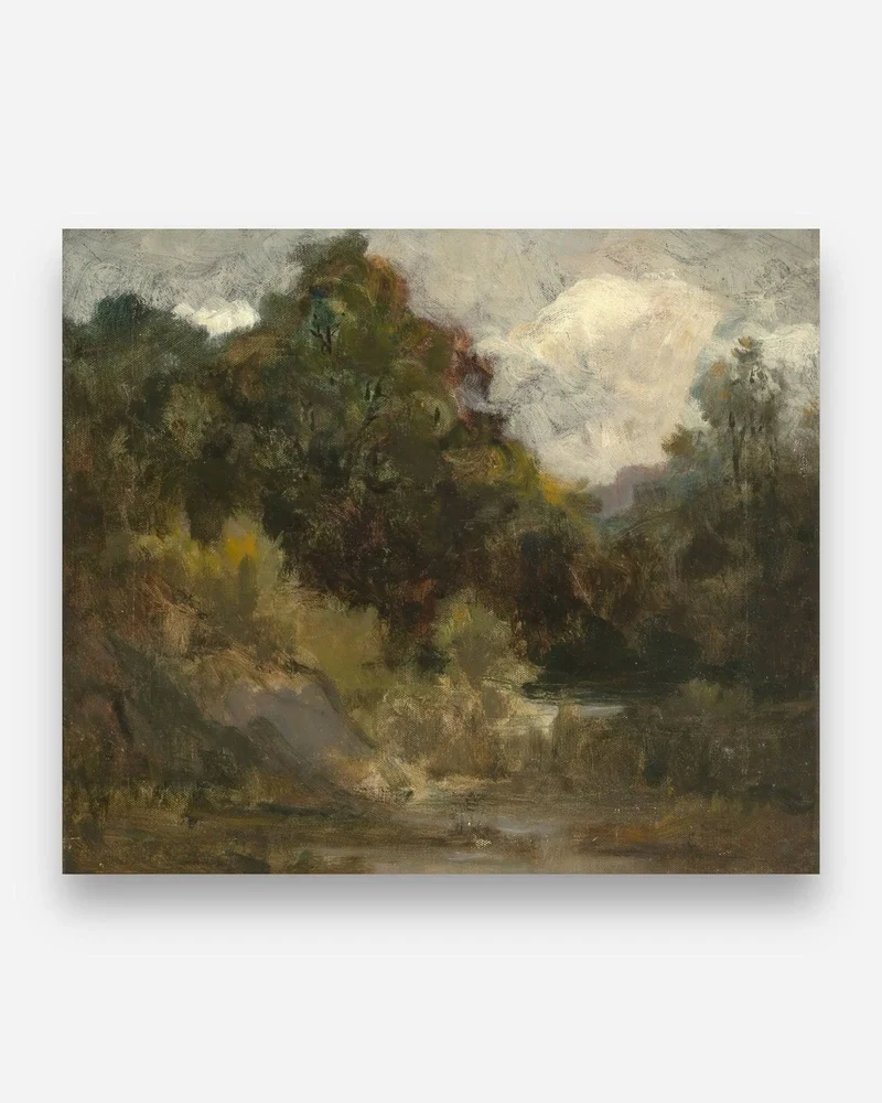 Forêt Colorée