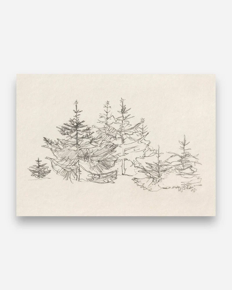 Forêt de Demain