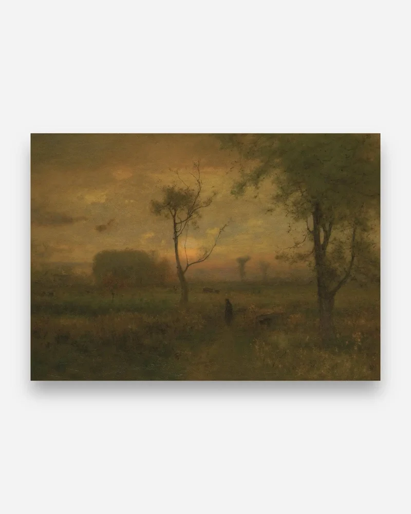 Soleil de Namibie