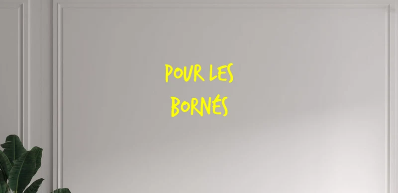 Custom text: Pour les bornés