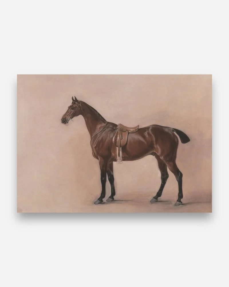 Cheval de Course