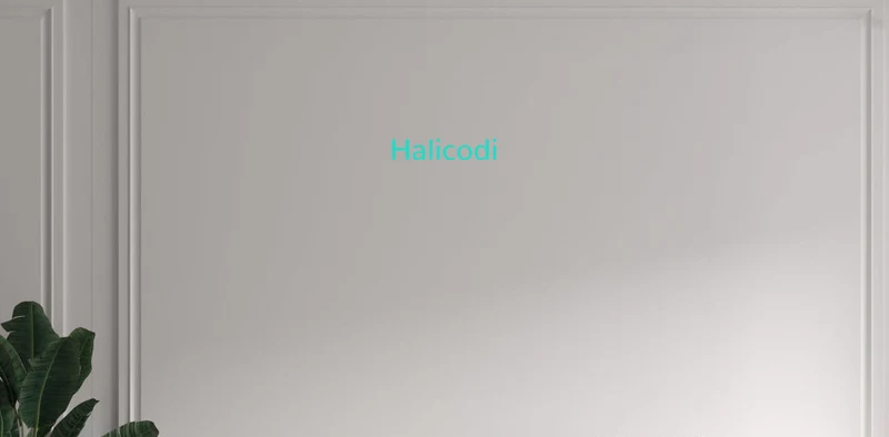 Custom text: Halicodi