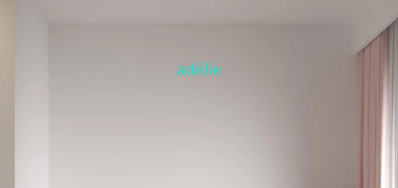 Custom text: adélie