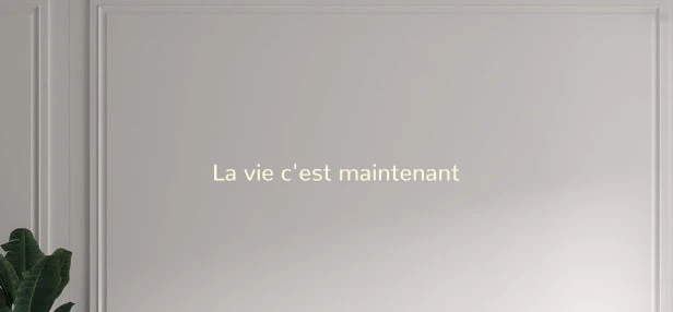 Custom text: La vie c'est maintenant