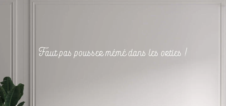 Custom text: Faut pas pousser mémé dans les orties !