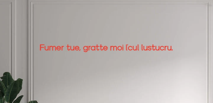 Custom text: Fumer tue, gratte moi l'cul lustucru.