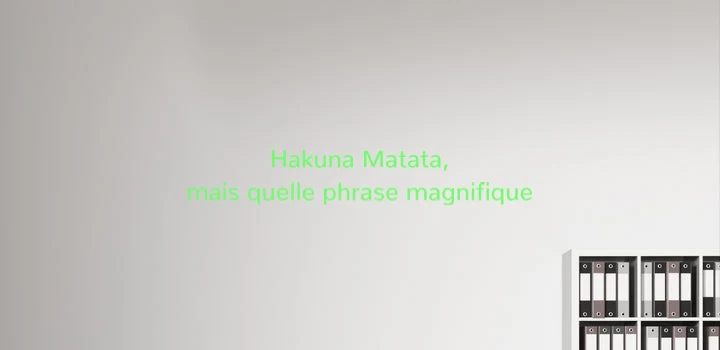 Custom text: Hakuna Matata, mais quelle phrase magnifique