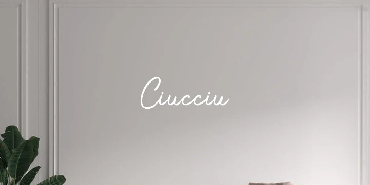 Custom text: Ciucciu