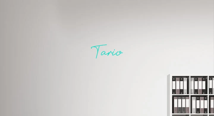 Custom text: Tario