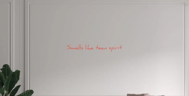Custom text: Smells like teen spirit