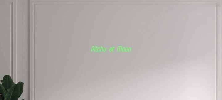 Custom text: Pitchu et Moon