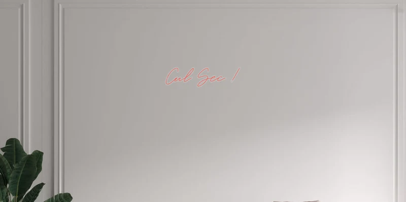 Custom text: Cul Sec !