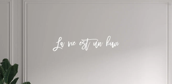 Custom text: La vie est un kiwi