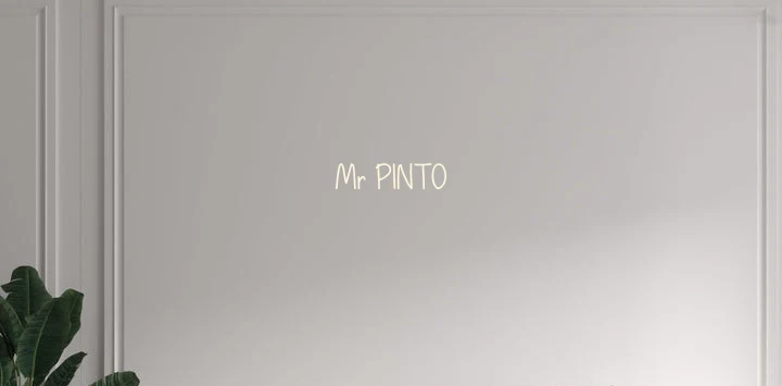 Custom text: Mr PINTO