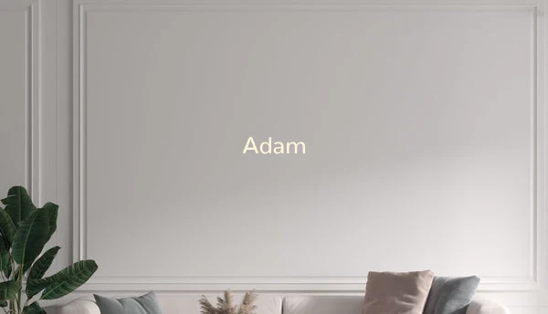 Custom text: Adam