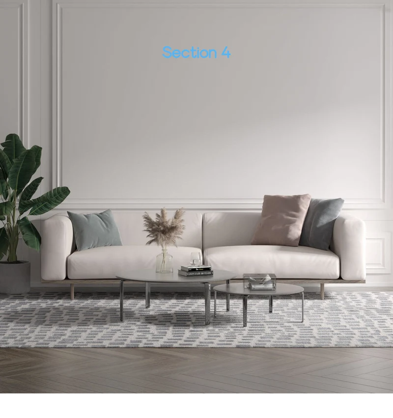 Custom text: Section 4