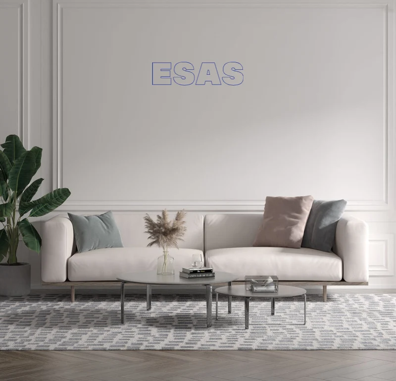 Custom text: ESAS