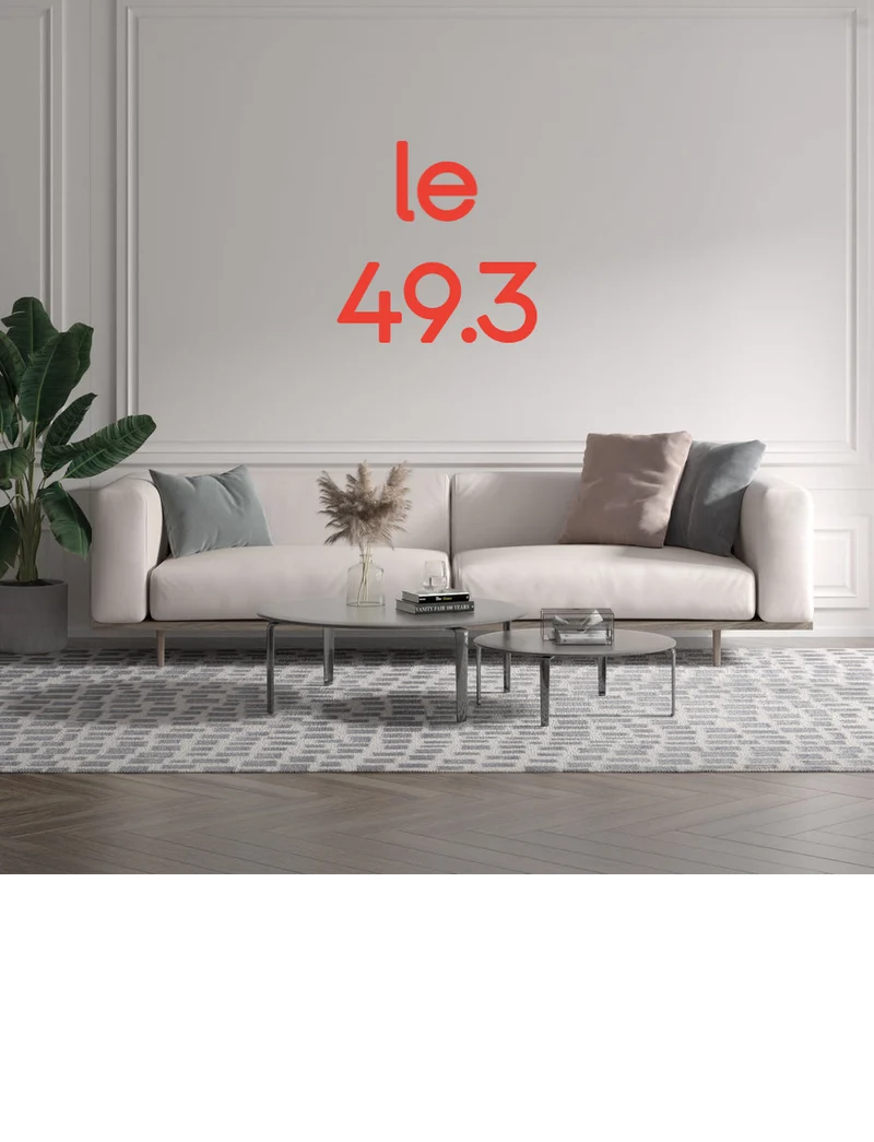 Custom text: le 49.3