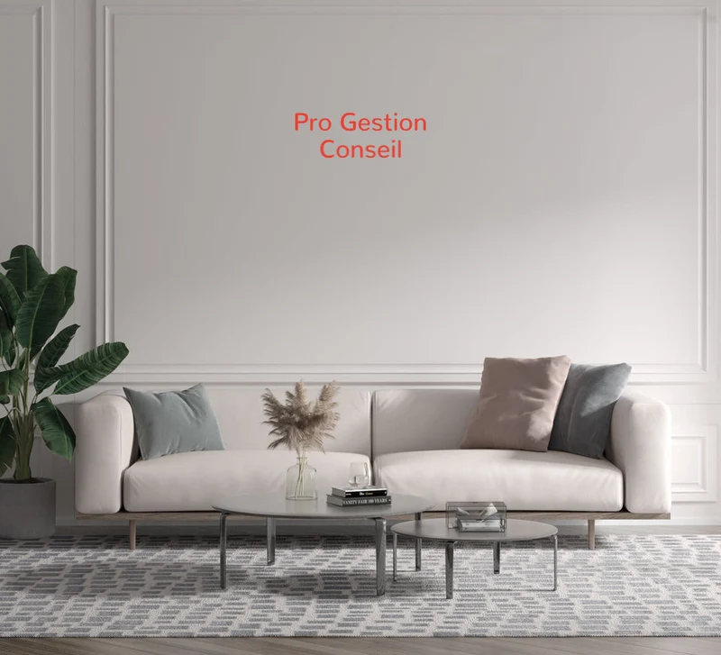 Custom text: Pro Gestion Conseil