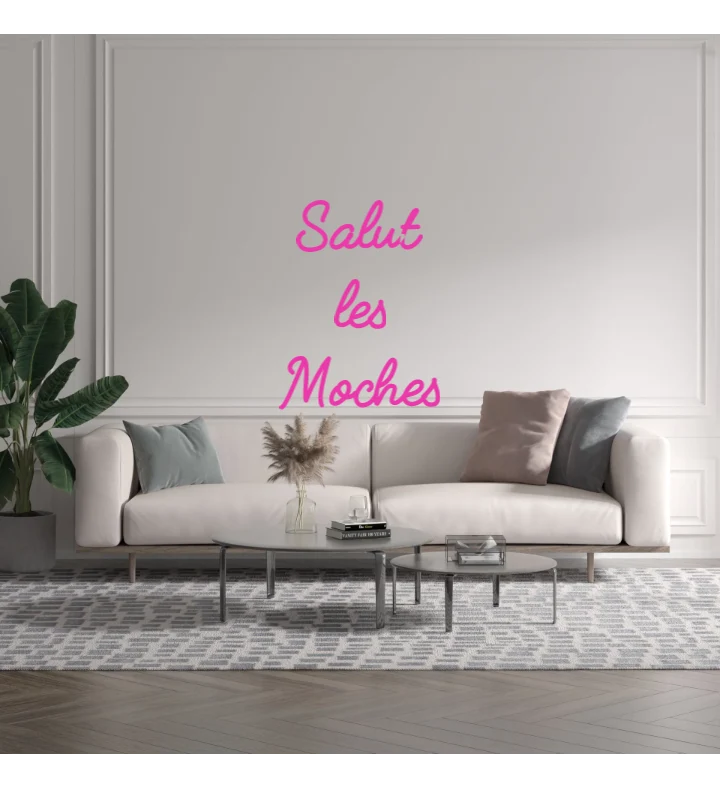 Custom text: Salut les Moches