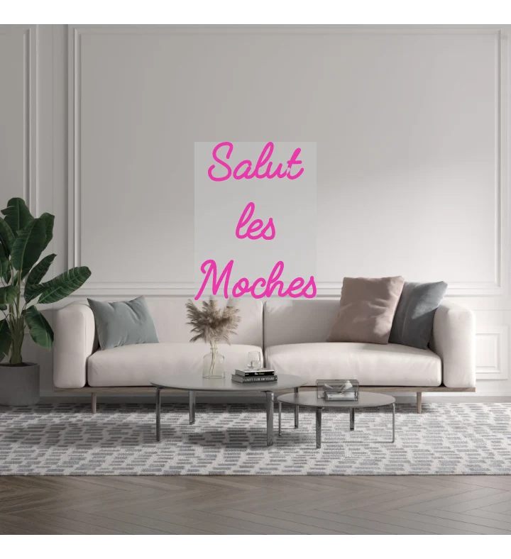 Custom text: Salut les Moches