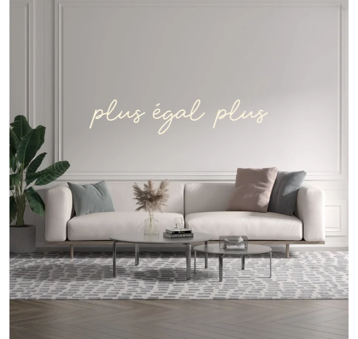 Custom text: plus égal plus