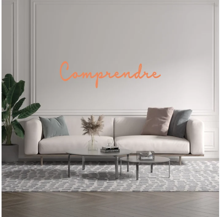Custom text: Comprendre