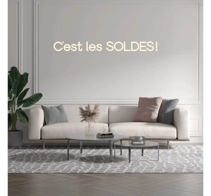 Custom text: C'est les SOLDES!