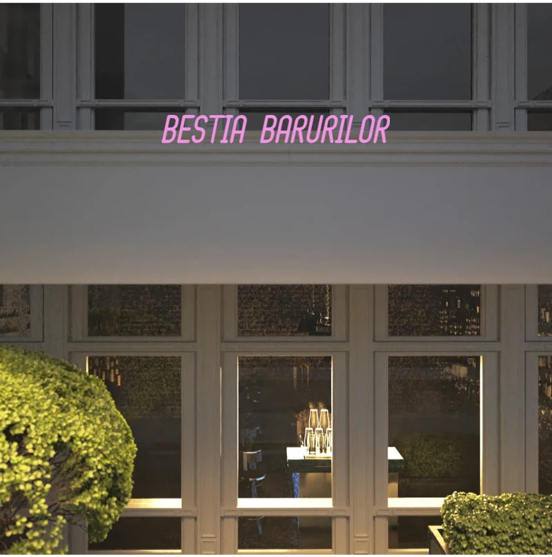 Custom text: BESTIA BARURILOR