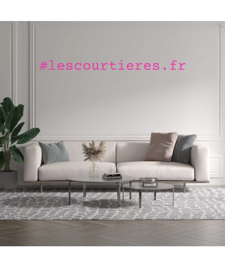 Custom text: #lescourtieres.fr
