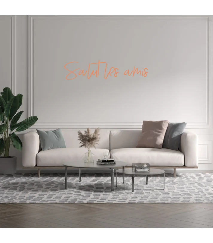 Custom text: Salut les amis