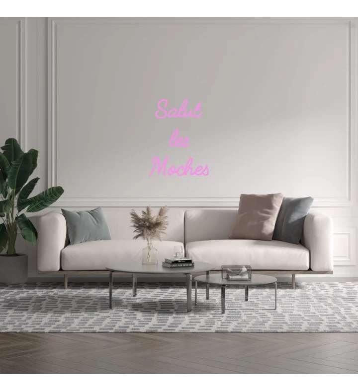Custom text: Salut les Moches