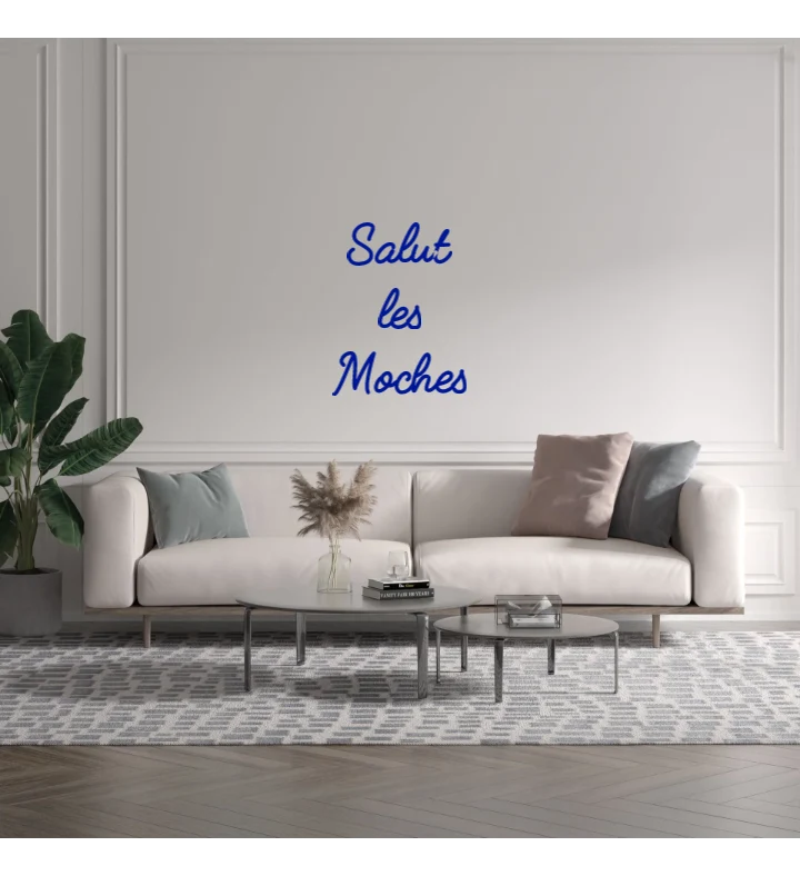 Custom text: Salut les Moches